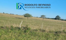 Lote de 1 hectárea en Villa Elisa